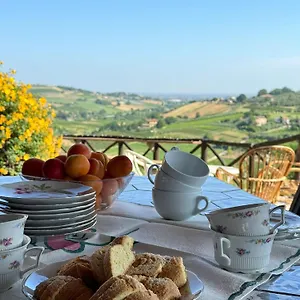 Venti - Craft Wine & Hospitality Roncofreddo
